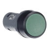CP1-10G-20 Pushbutton