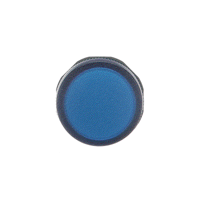 CL2-502L Pilot Light