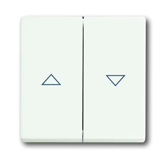 1785 JA-884 Rocker, studio white, matt, Control elements for Venetian blind control unit/timers