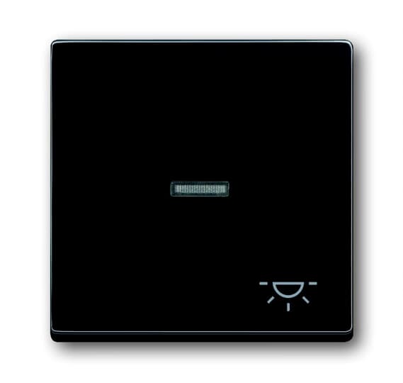 1789 LI-81 Switch rocker with marking, anthracite, Covers for switches/push-buttons