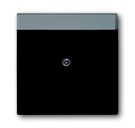 1800-885 Cover plate, black matt, Covers for data communication