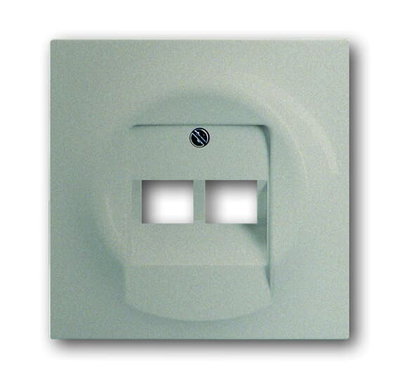 1803-02-79 Cover plate 2gang
