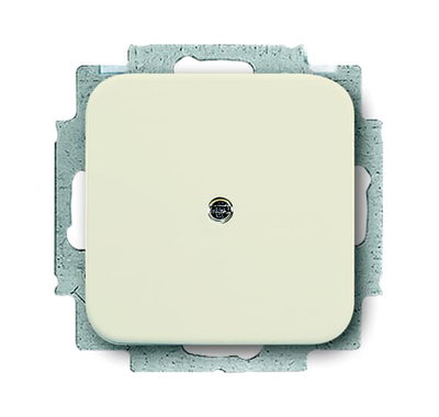 Cable Outlet / Blank Plate / Adapter Ring Blind cap 0 gang white - Busch-Duro 2000 SI