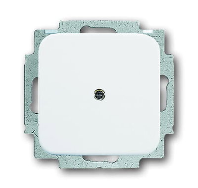 Cable Outlet / Blank Plate / Adapter Ring for Blind cap 1-gang alpine white - Reflex SI