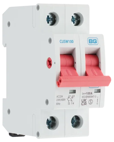 CUSW100 MAIN SWITCH 100A DP