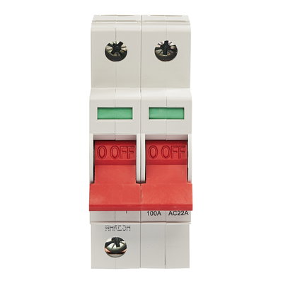 100A DP Main Switch