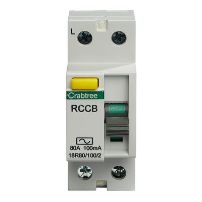 80A 100mA DP Type AC RCCB