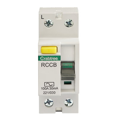 100A 30mA DP Type AC RCCB