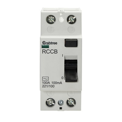 100A 100mA DP Type AC RCCB