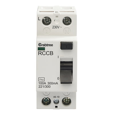 100A 300mA DP Type AC RCCB