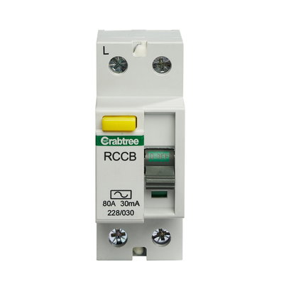 80A 30mA DP Type AC RCCB