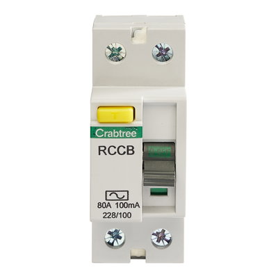 80A 100mA DP Type AC RCCB