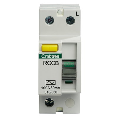 100A 30mA DP Type AC Plug In RCCB