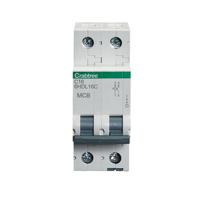 16A DP MCB Type C 10kA