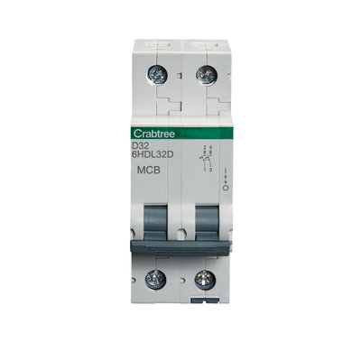 32A DP MCB Type D 10kA