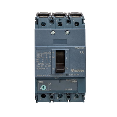 125A 36kA 3P 7PBV MCCB ATFM c/w Box Terminals