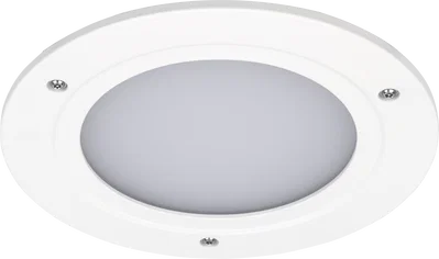 PLATINUM WHITED-LIGHT 218MM 6600LM 53W LPW