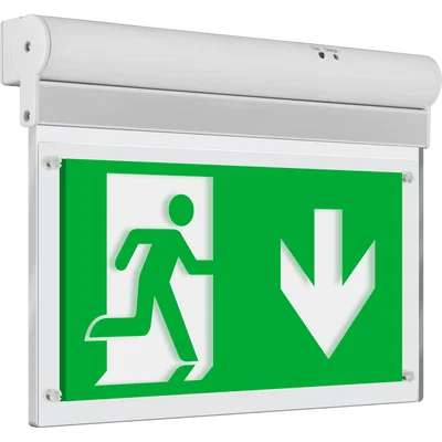 TEMPUS EXTRA 260LM 2W SURFACE BLACK 3HR SELF-TEST & DALI EMERGENCY DOWNLIGHT C/W OPEN AREA OPTIC