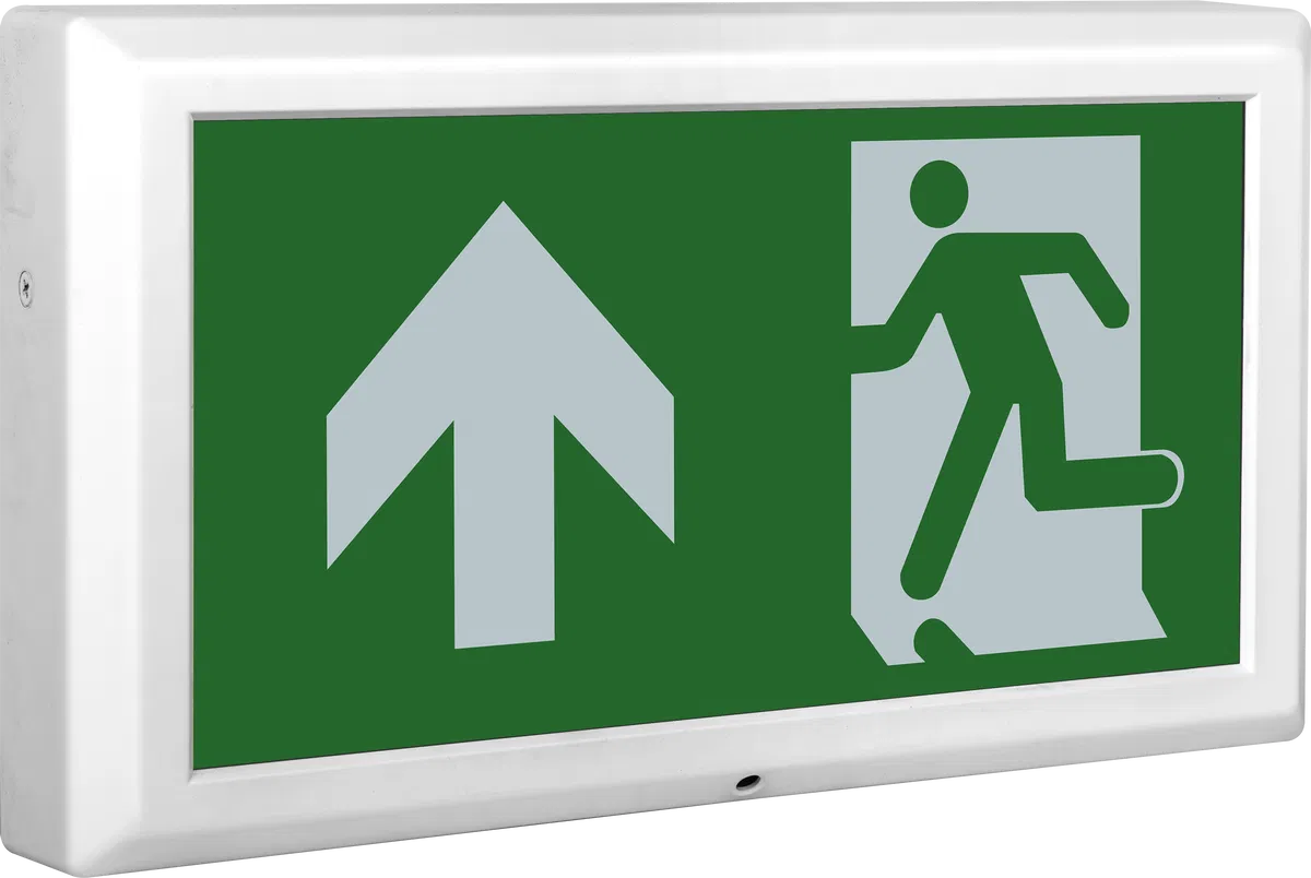TEMPUS EXIT BOX 3HR EMERGENCY MAINTAINED C/W UP LEGEND