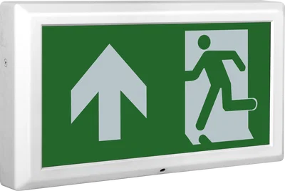 TEMPUS EXIT BOX 3HR EMERGENCY MAINTAINED C/W UP LEGEND
