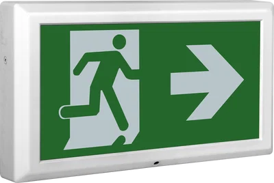TEMPUS EXIT BOX 3HR EMERGENCY SELF-TEST MAINTAINED C/W RIGHT LEGEND