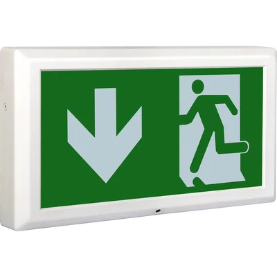 TEMPUS EXIT BOX 3HR EMERGENCY SELF-TEST MAINTAINED C/W DOWN LEGEND