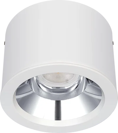 PLATINUM GLOSS SURFACE RAL 9016 D-LIGHT 218MM 3300LM 26W LPW