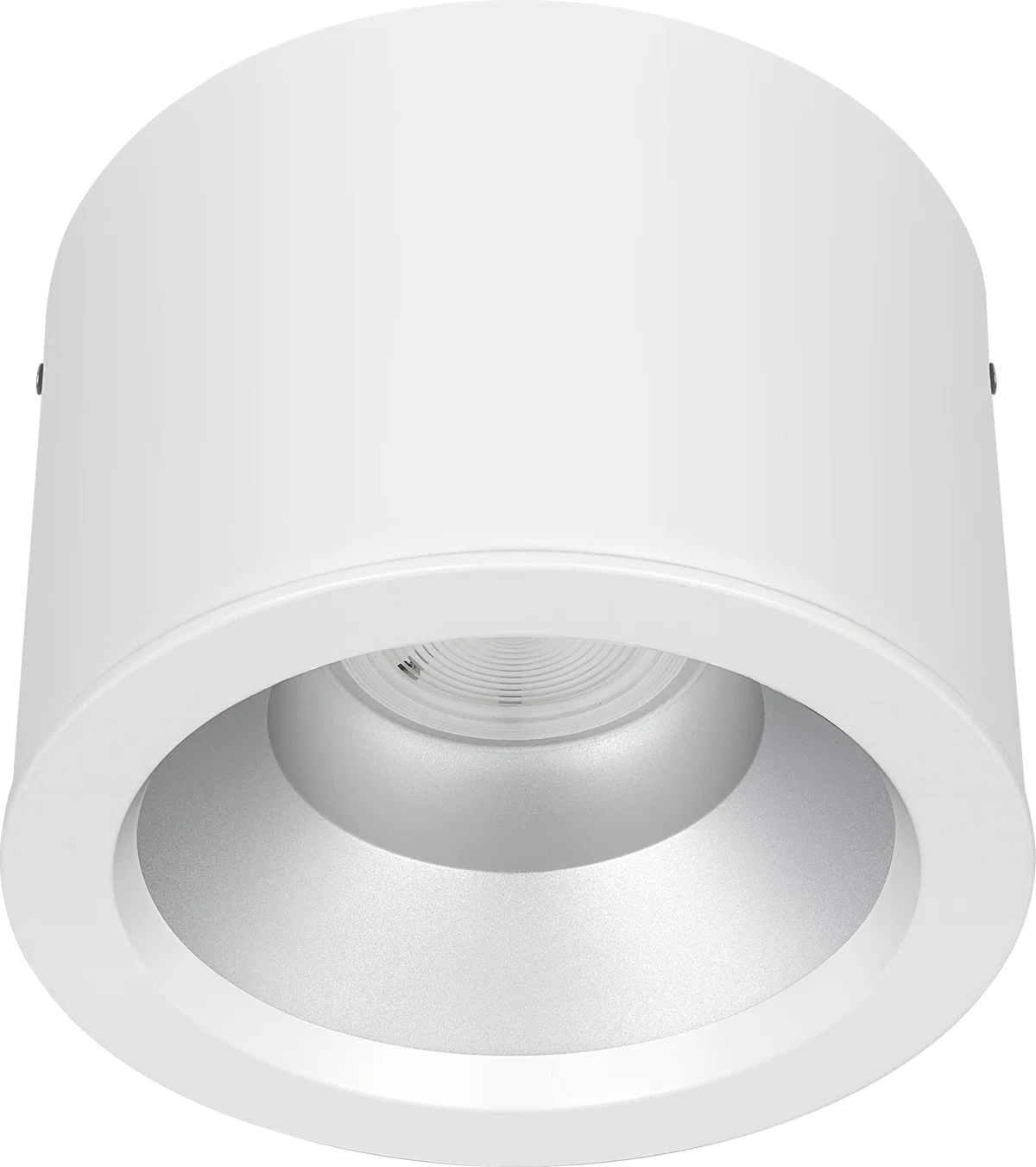 PLATINUM MATT SURFACE RAL 9016 D-LIGHT 218MM 1250LM 10W LPW