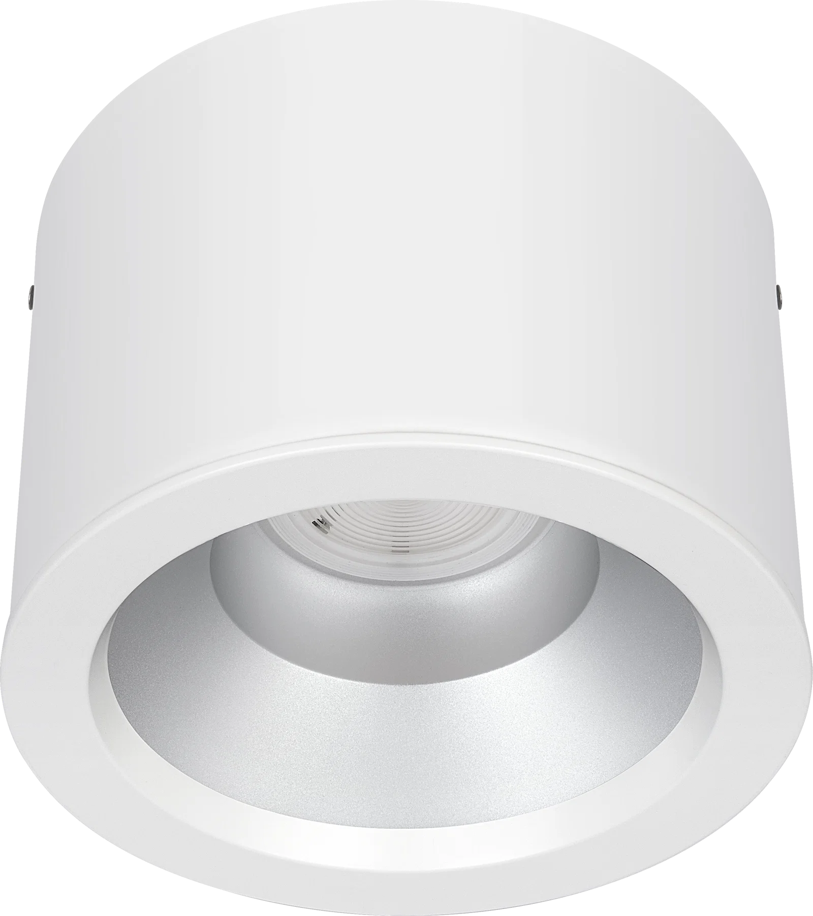 PLATINUM MATT SURFACE RAL 9016 D-LIGHT 218MM 1250LM 10W LPW