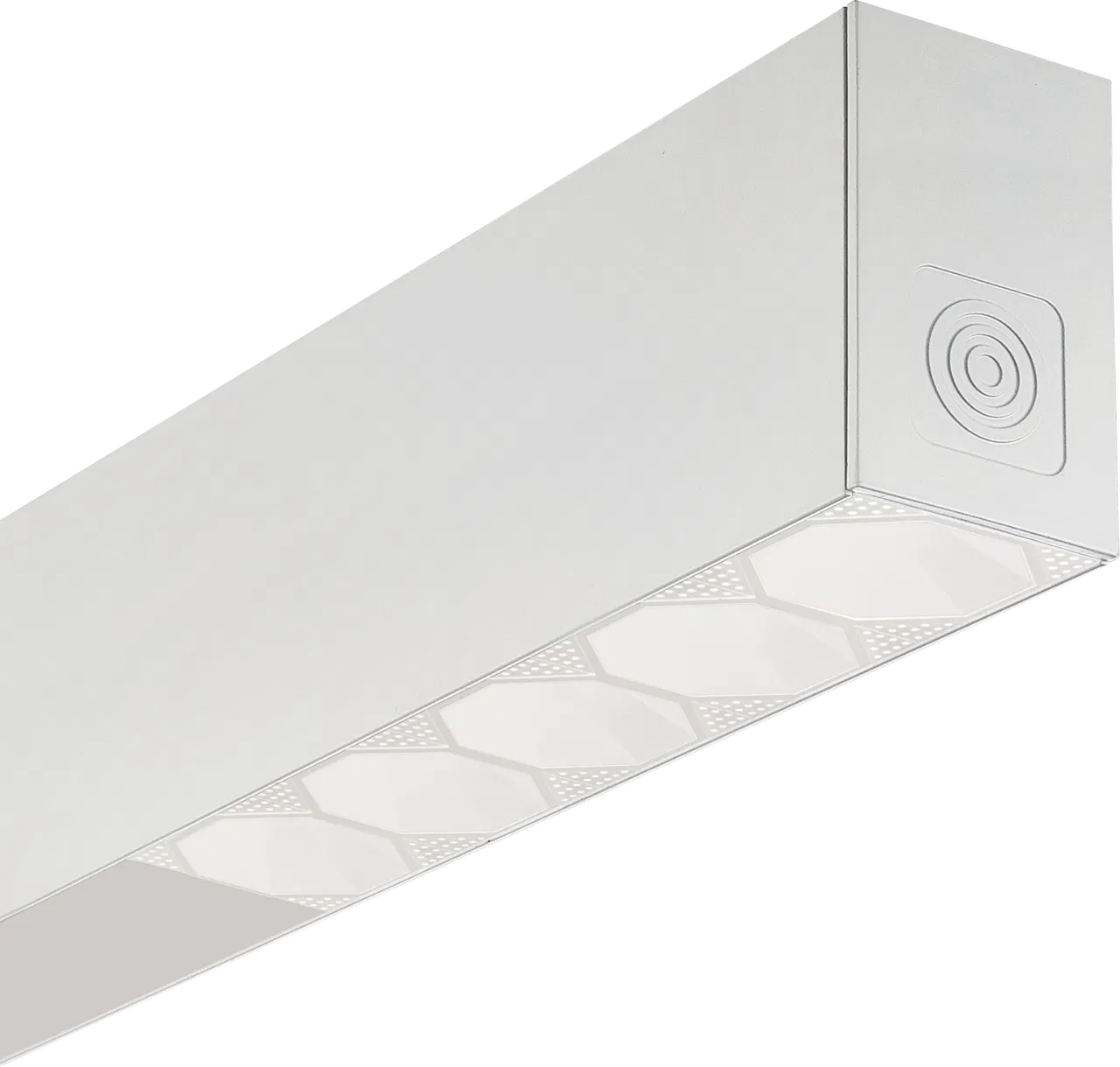 SPARTAN Flood 12 LED, Zone 2/22, White-Light 50°x50° beam