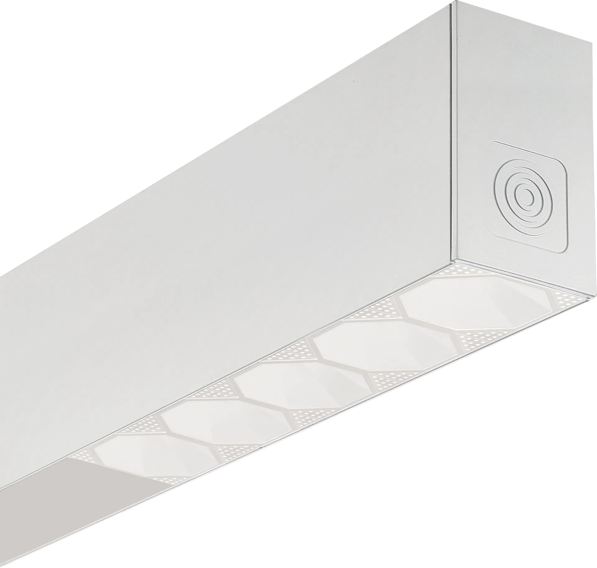 SPARTAN Flood 12 LED, Zone 2/22, White-Light 50°x50° beam