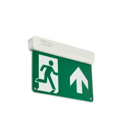 Exit Sign, Illuminated emergency exit sign, 3 W, 3 W, 313x212mm  H42 mm, 23 lm, 6500 K, IP20, ELB3h