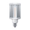 TrueForce LED Public (Urban/Road – HPL/SON) - LED-lamp/Multi-LED - Power Consumption: 42 W - Energy Efficiency Class: D