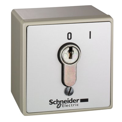 Vandal resistant surface mounted control station - XAP-S - lock