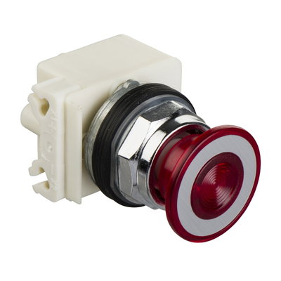 PUSHBOTTON PILOT LIGHT 30MM