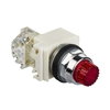 PUSH BUTTON 600VAC 10A 30MM T-K