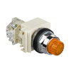 PUSH BUTTON 600VAC 10A 30MM T-K