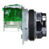 PUSHBUTTON 600VAC 10A 30MM TYPE K