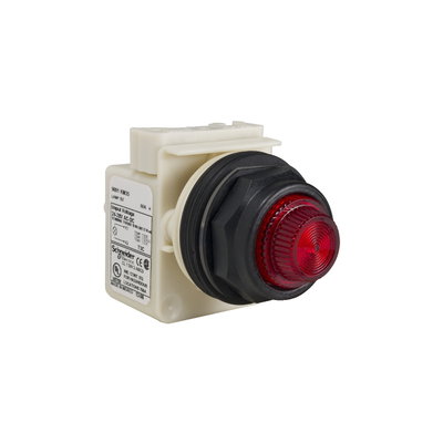 PILOT LIGHT 120V 30MM SK +OPTIONS