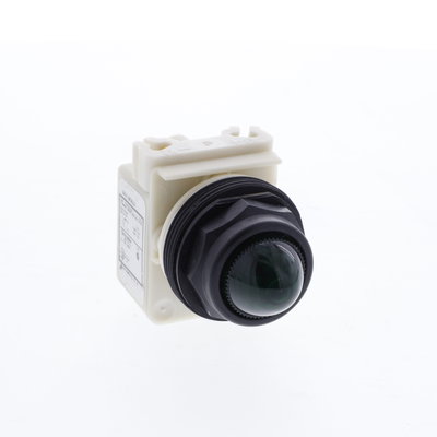 PILOT LIGHT 120V 30MM SK +OPTIONS