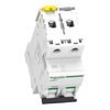 Miniature circuit-breaker, Acti9 iC60N, 2P, 16 A, C curve, 6000 A (IEC 60898-1), 10 kA (IEC 60947-2)