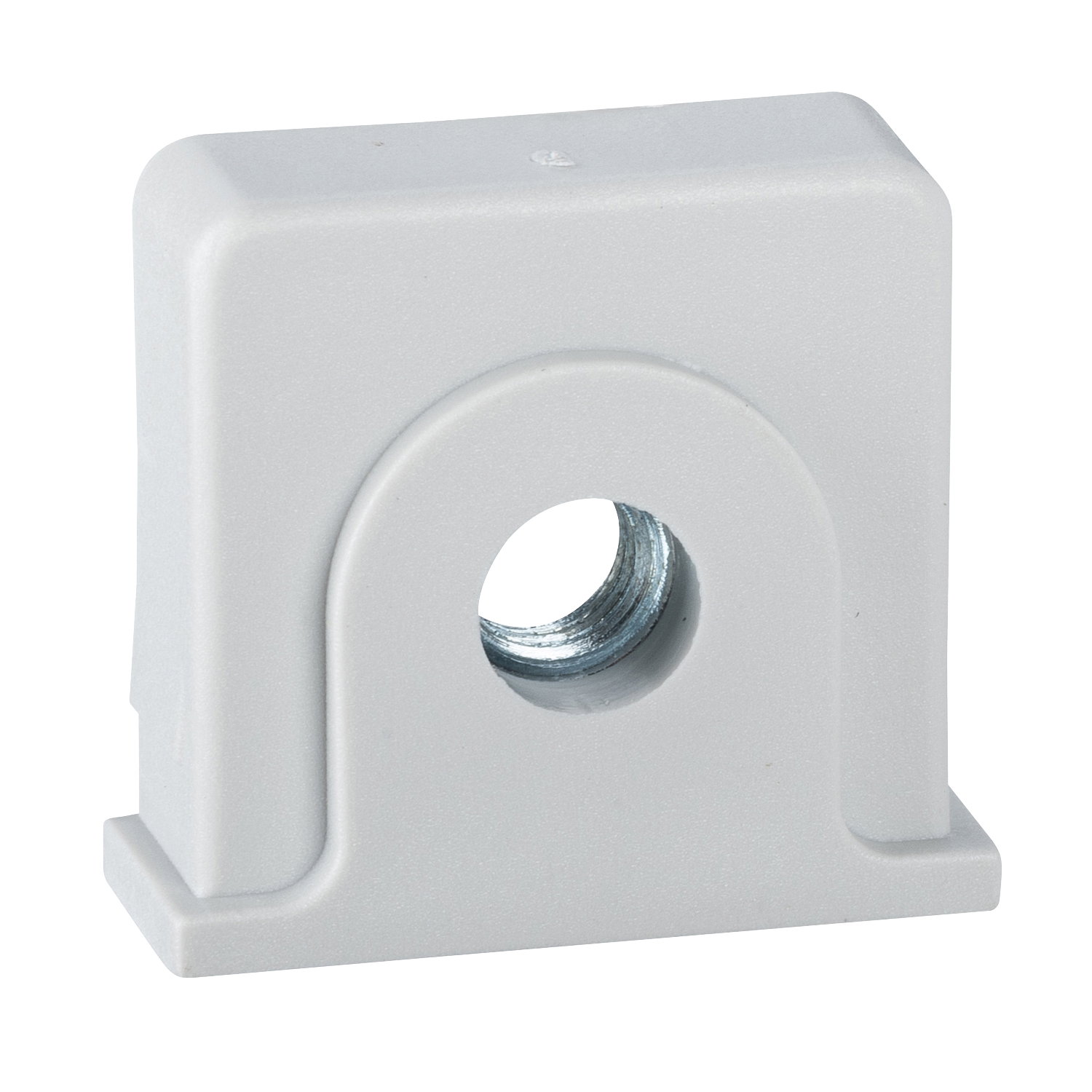 Plastic nut and M6 screw placed in the notches of PLM for DIN rail