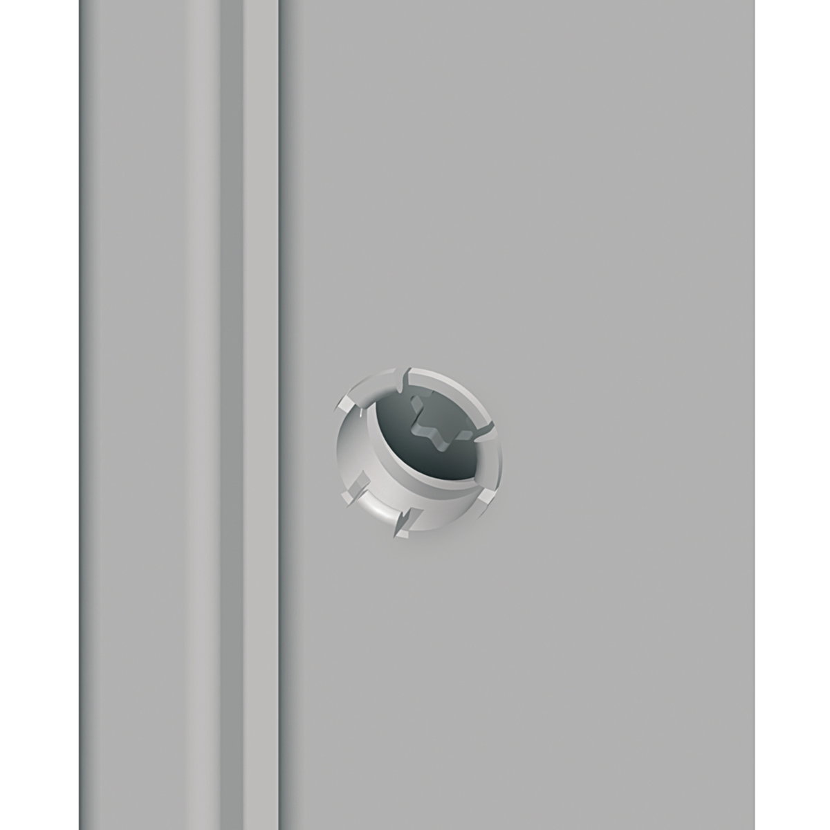 "Captive screws for PanelSet SF panels external fixing"