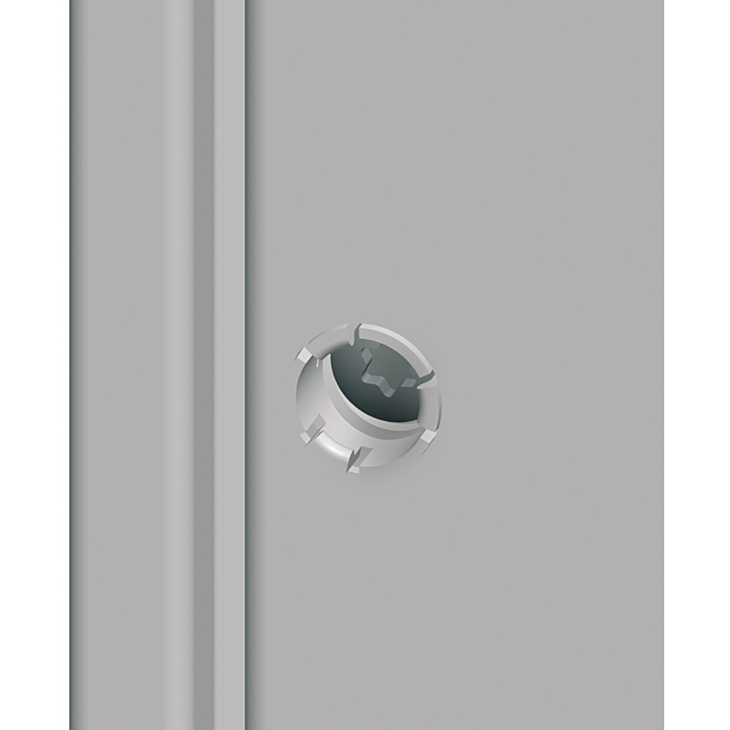 "Captive screws for PanelSet SF panels external fixing"