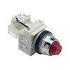 PILOT LIGHT 120VAC 30MM TYPE K +OPTIONS