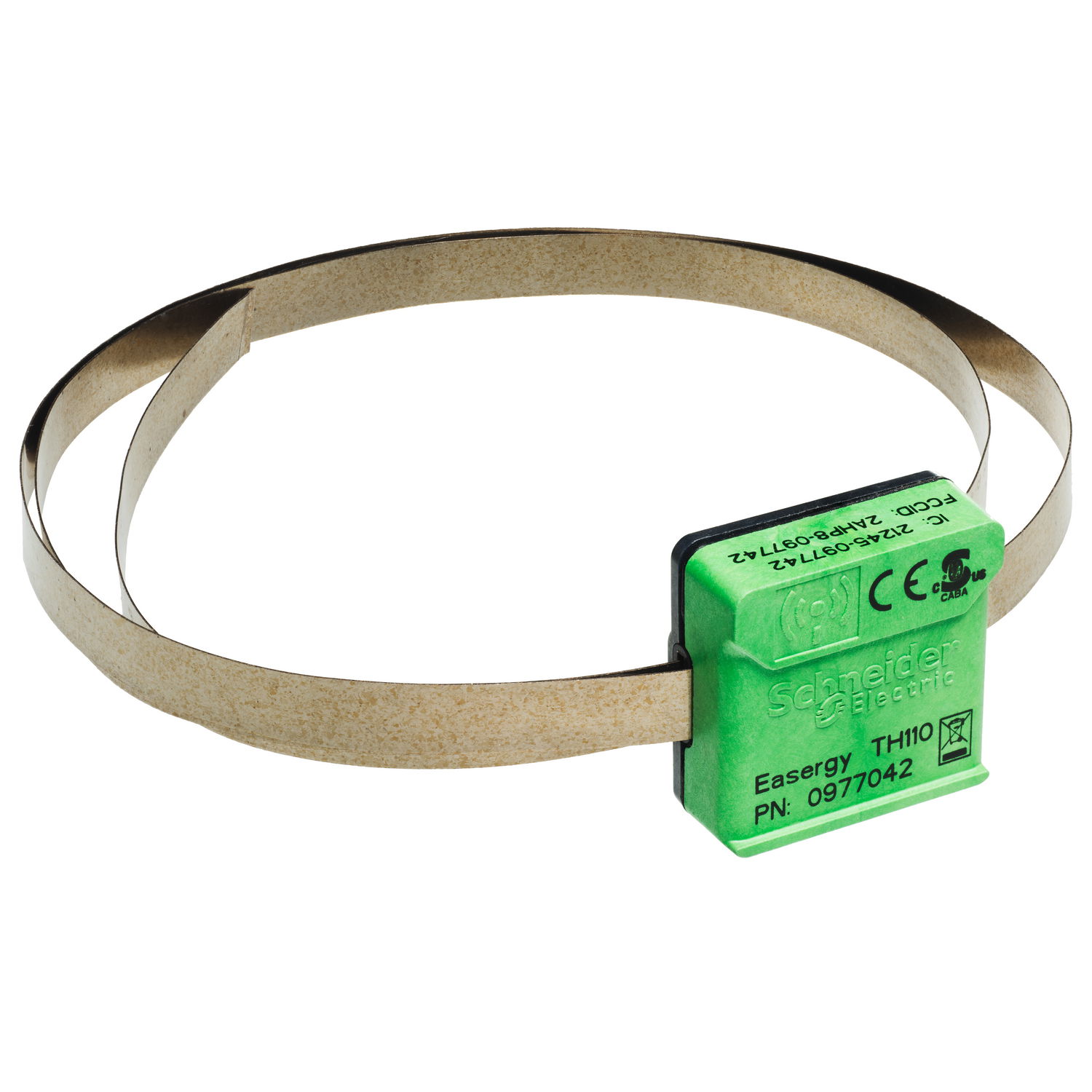 Ferromagnetic ribbon