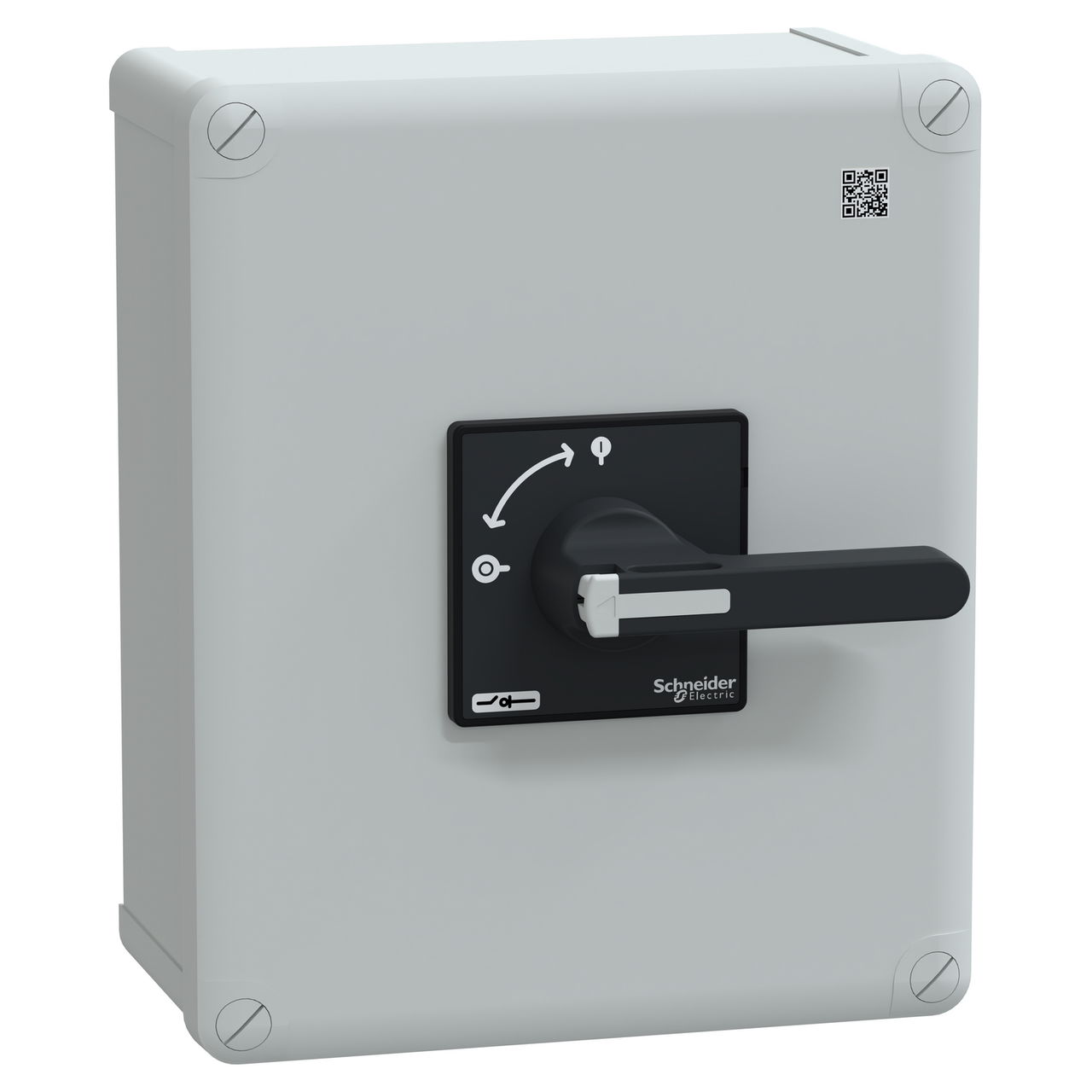 TeSys Vario enclosed, main switch disconnector, 100A, IP65, long handle