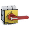 TeSys Vario - emergency stop switch disconnector - 125 A - on door