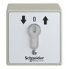 Vandal resistant surface mounted control station - XAP-S - lock