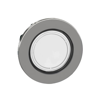 FLUSH WH PROJECTING PL HEAD LED